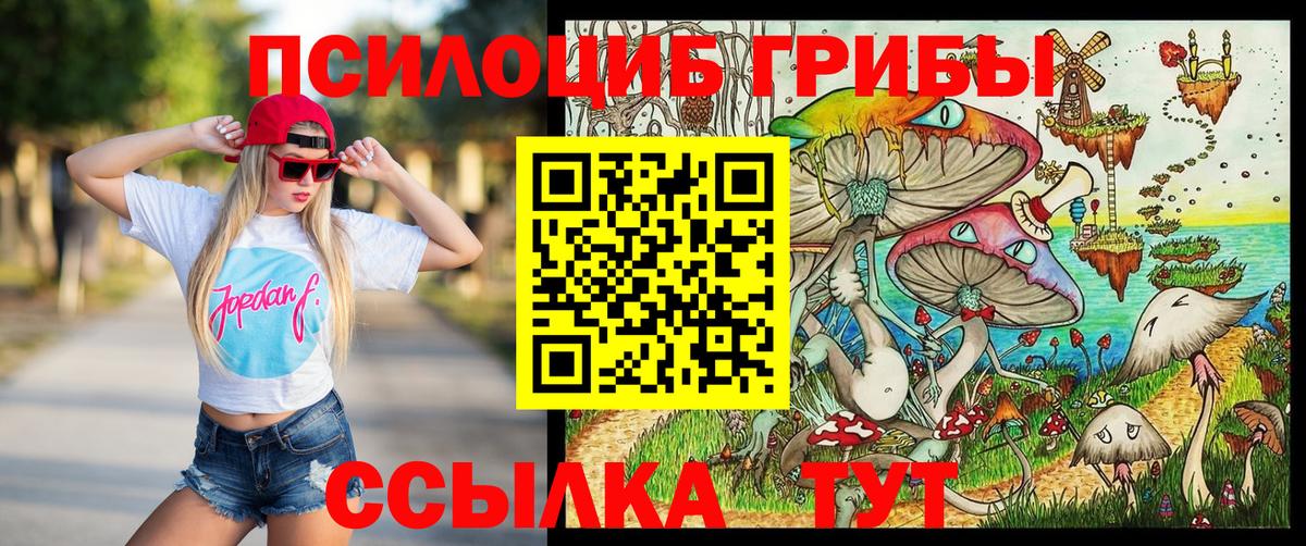 Галлюциногенные грибы Cubensis Корсаков