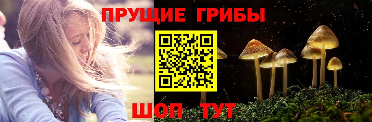Корсаков  Псилоцибиновые грибы Psilocybe  Вход с VPN 